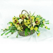 Traditional Basket