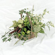 Woodland Basket