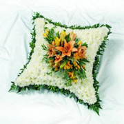 Cushion Based