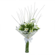 Elegance, Lilies