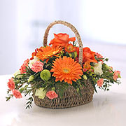Vivid Basket