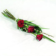 Red Rose tied sheaf