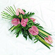 Modern Exotic Tied Sheaf