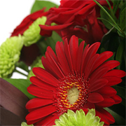 Florist Choice Hand-Tied