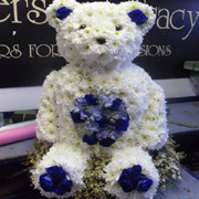 Teddy