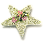 5 Point Star gyp